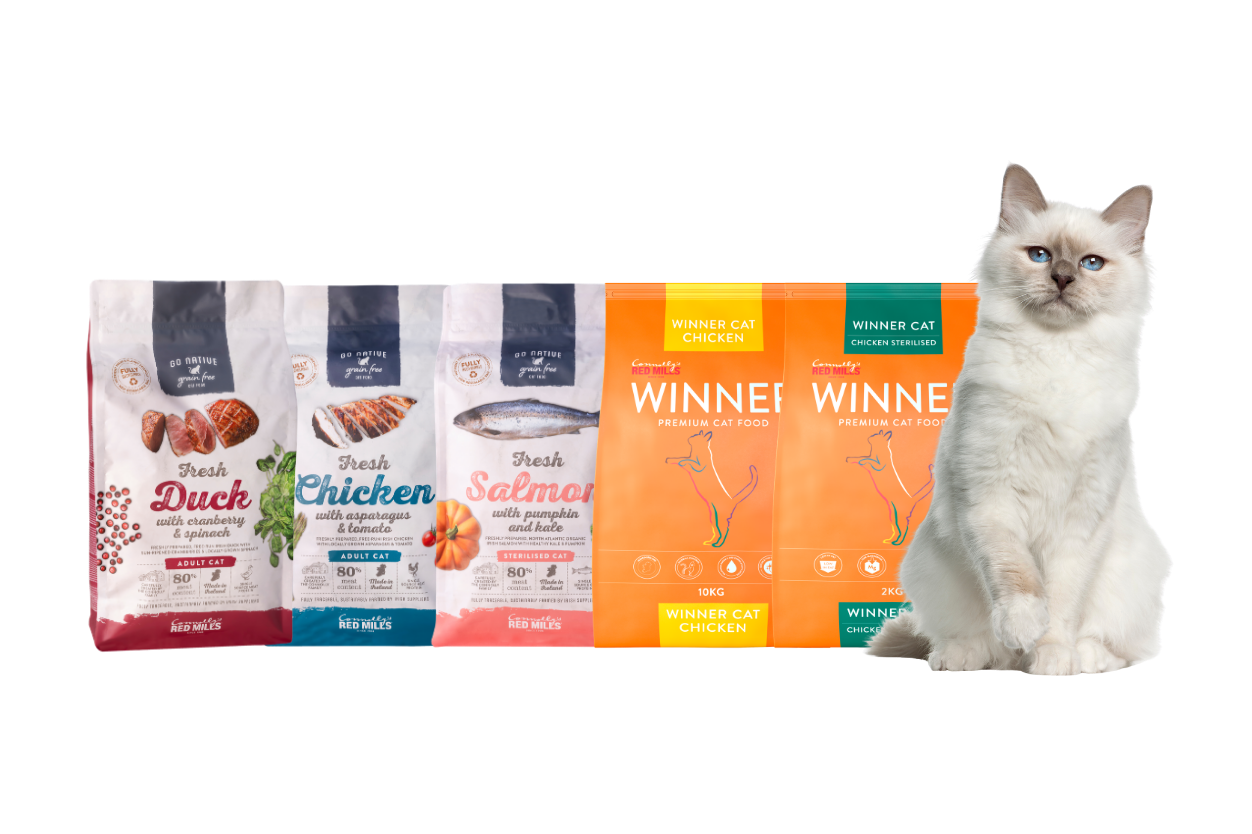 Cat standing beside a line-up of Connolly’s RED MILLS cat food packs