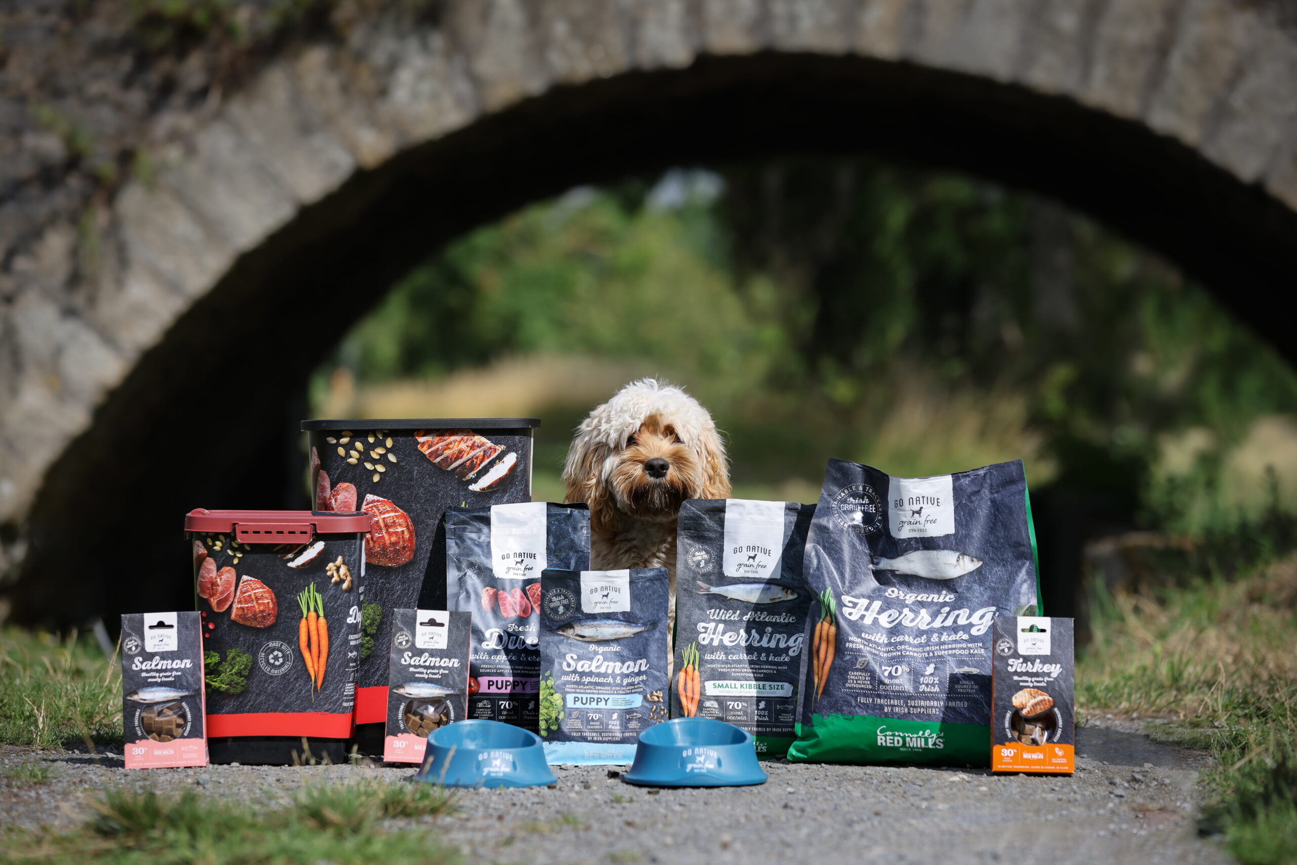 Fluffy dog sitting behind a line-up of Go Native dog food bags and bowls under a stone arch